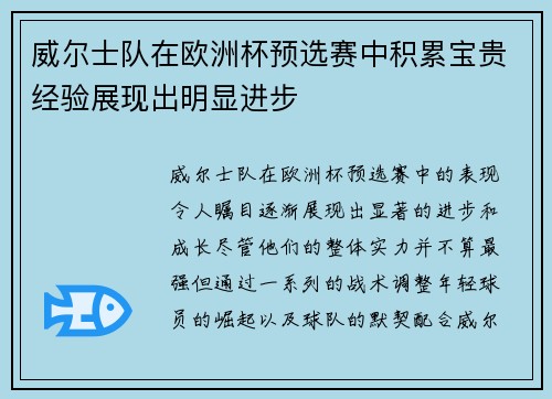 威尔士队在欧洲杯预选赛中积累宝贵经验展现出明显进步